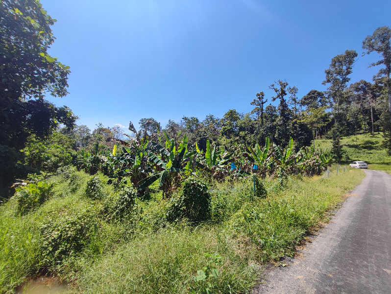 Tanah lot Pertanian Untuk Dijual Di Kota Tampan Lenggong Hulu Perak  - photo 11