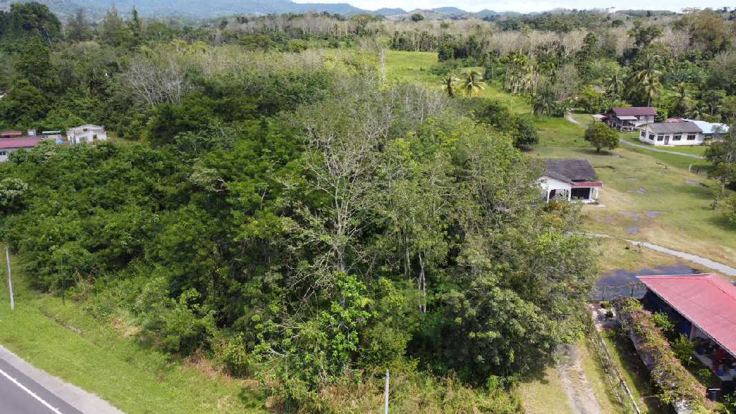 Tanah Pertanian Getah Untuk Dijual di Kg Gelok, Kuala Jepai, Lenggong Perak - photo 8