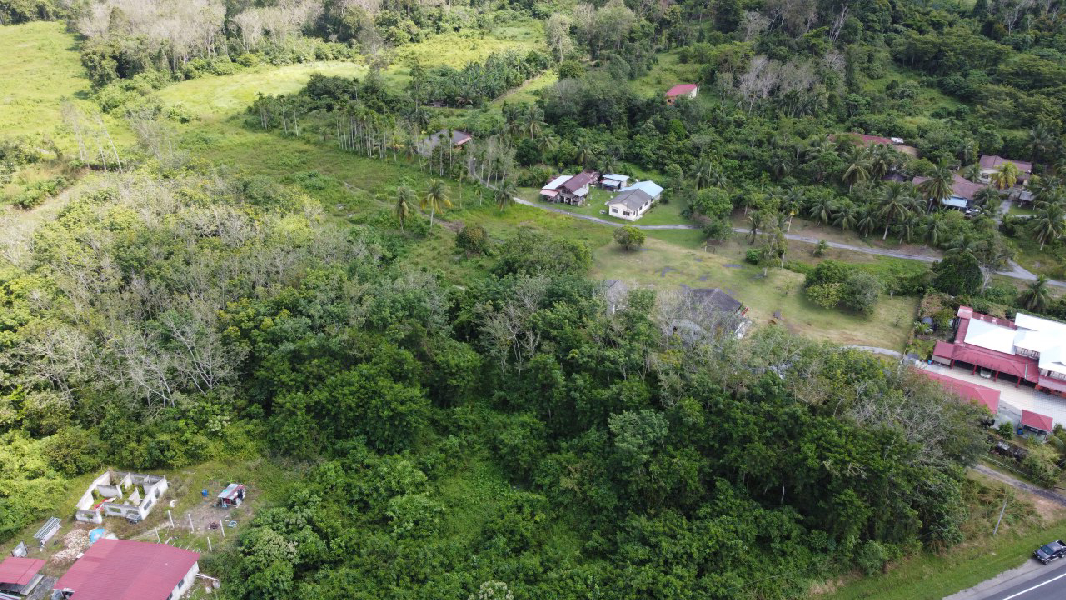 Tanah Pertanian Getah Untuk Dijual di Kg Gelok, Kuala Jepai, Lenggong Perak - photo 11