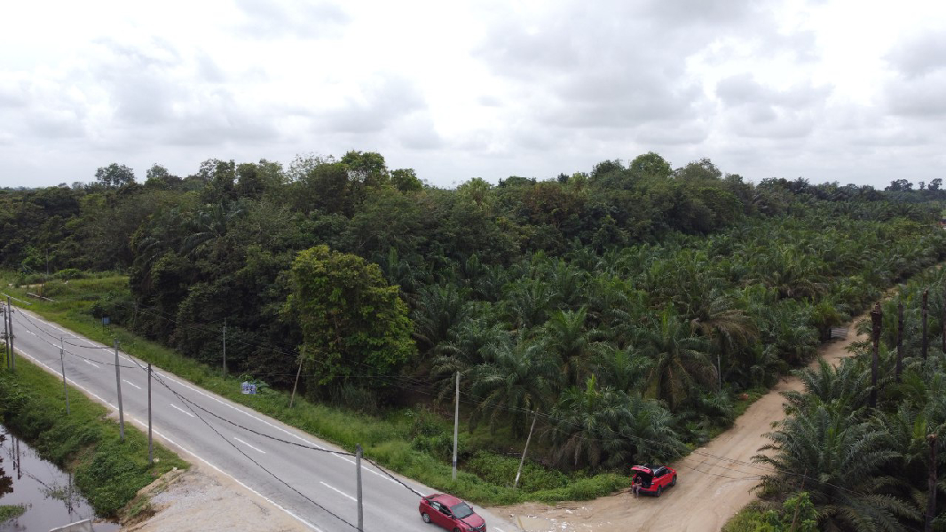 Tanah Pertanian untuk dijual di Pasir Panjang, Mukim Pasir Panjang Hulu, Perak Tengah, Perak - photo 3