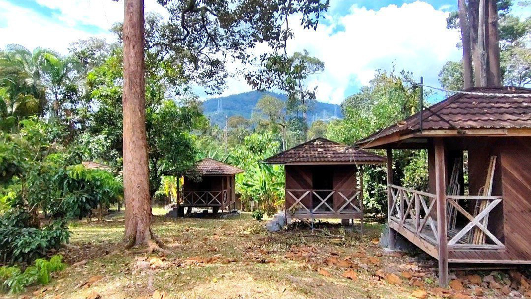 Rumah Banglo Tepi Sungai Berdusun di Hulu Langat Selangor - photo 3
