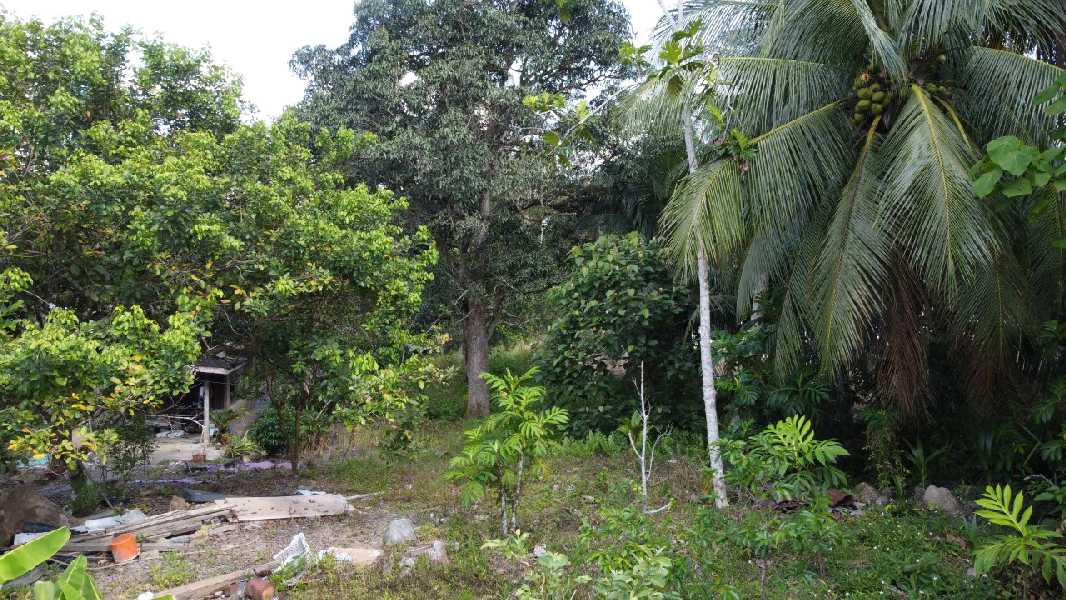 Tanah untuk dijual di Kampung Gua Badak Lenggong - photo 11