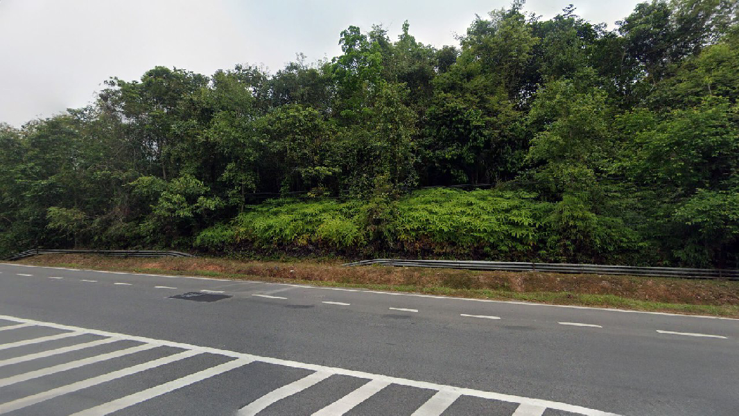 Tanah Pertanian Tepi Jalan Utama Untuk Dijual Di TAnjung Rambai , Gerik - photo 3