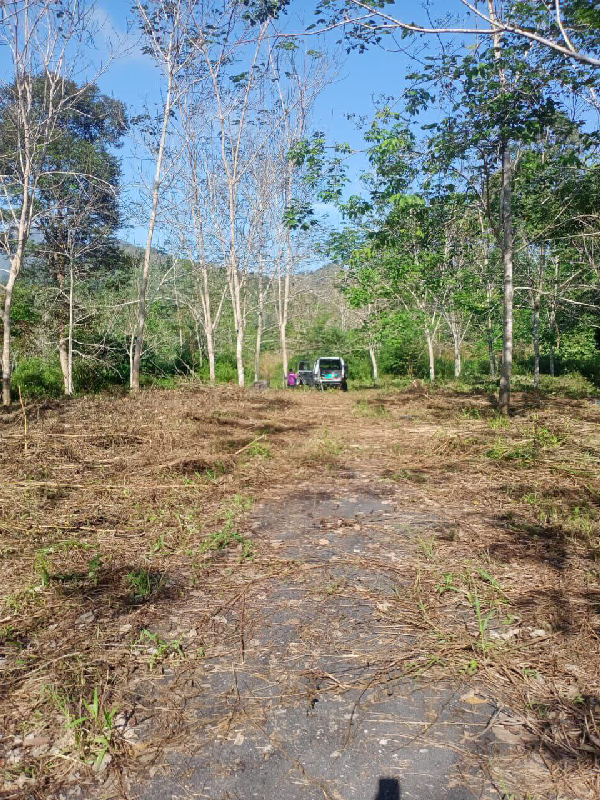 Tanah Getah  [ FREEHOLD & OPEN TITLE ] Untuk Dijual di Kg Kerunai Mukim Kerunai Grik - photo 3