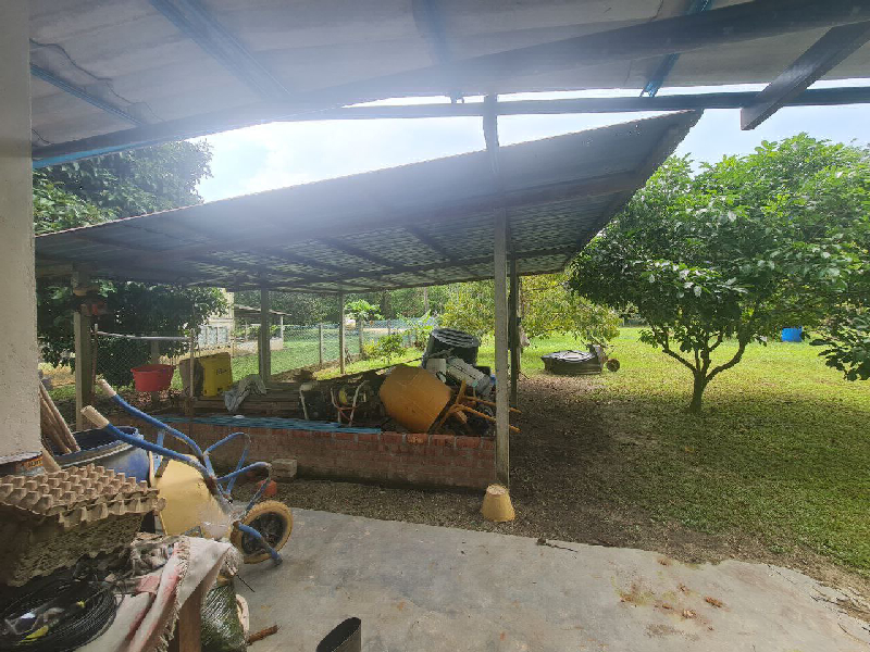 Dusun Durian Dan Banglo Di Universiti Teknologi Petronas (UTP) Untuk Di Jual - photo 8