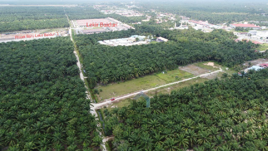 Tanah Lot Banglo Untuk Dijual Di Batu 10 Lekir Perak - photo 3