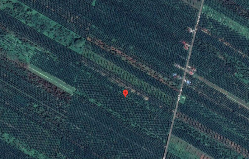 Tanah Pertanian Tepi Jalan Untuk Dijual di Bagan Datuk - photo 3