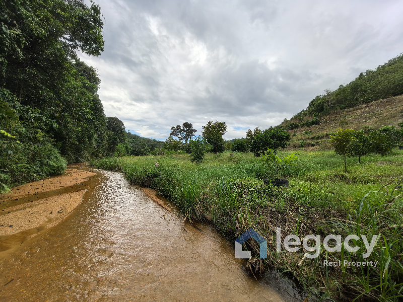 Dusun Buah Tepi Sungai Untuk Dijual Di Chemor Ipoh Perak - photo 2