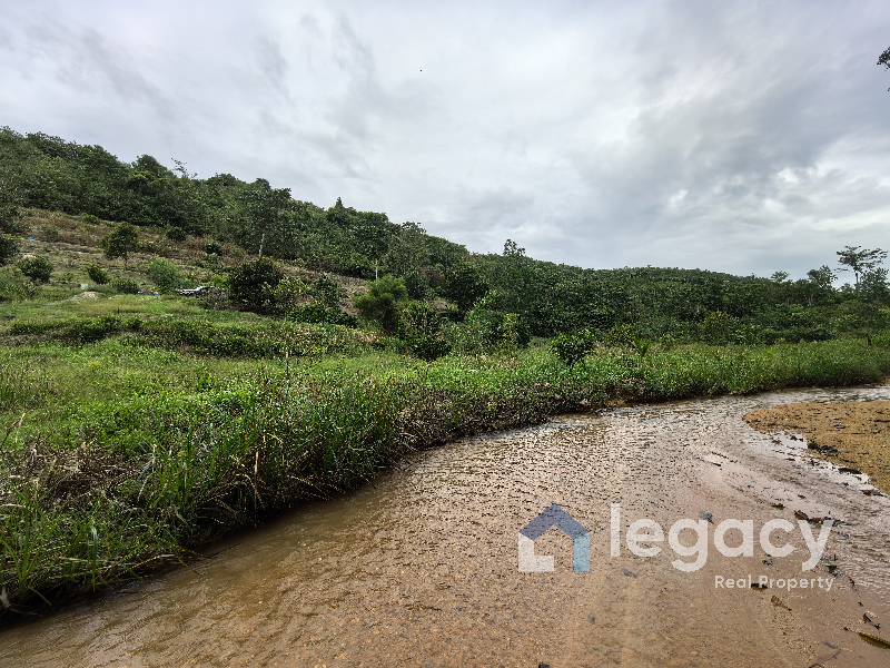 Dusun Buah Tepi Sungai Untuk Dijual Di Chemor Ipoh Perak - photo 3