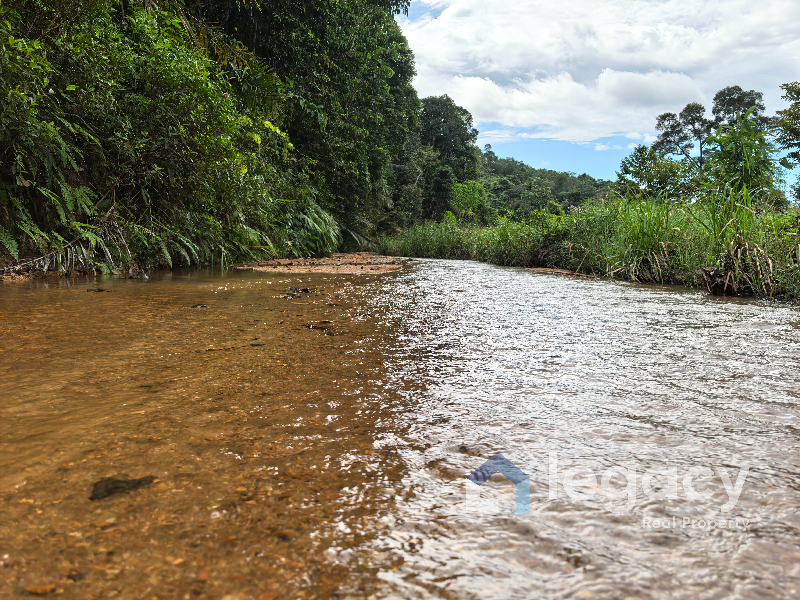 Dusun Buah Tepi Sungai Untuk Dijual Di Chemor Ipoh Perak - photo 4