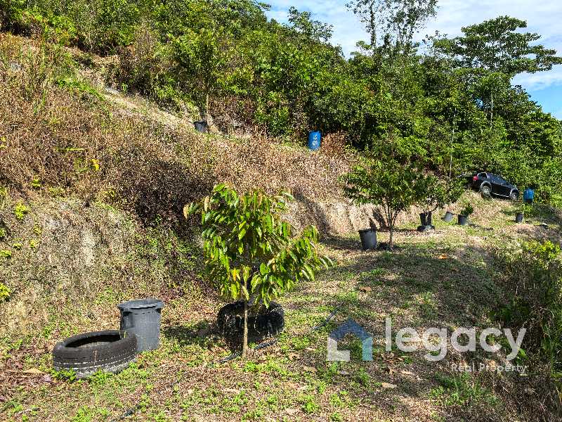 Dusun Buah Tepi Sungai Untuk Dijual Di Chemor Ipoh Perak - photo 11