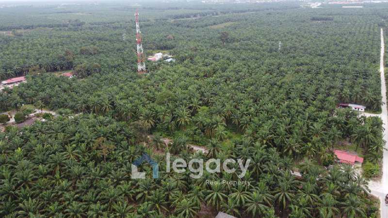 Tanah Sawit Untuk Di Jual di Sei Keruin, Sungai Kerawai Teluk Intan Perak - photo 2