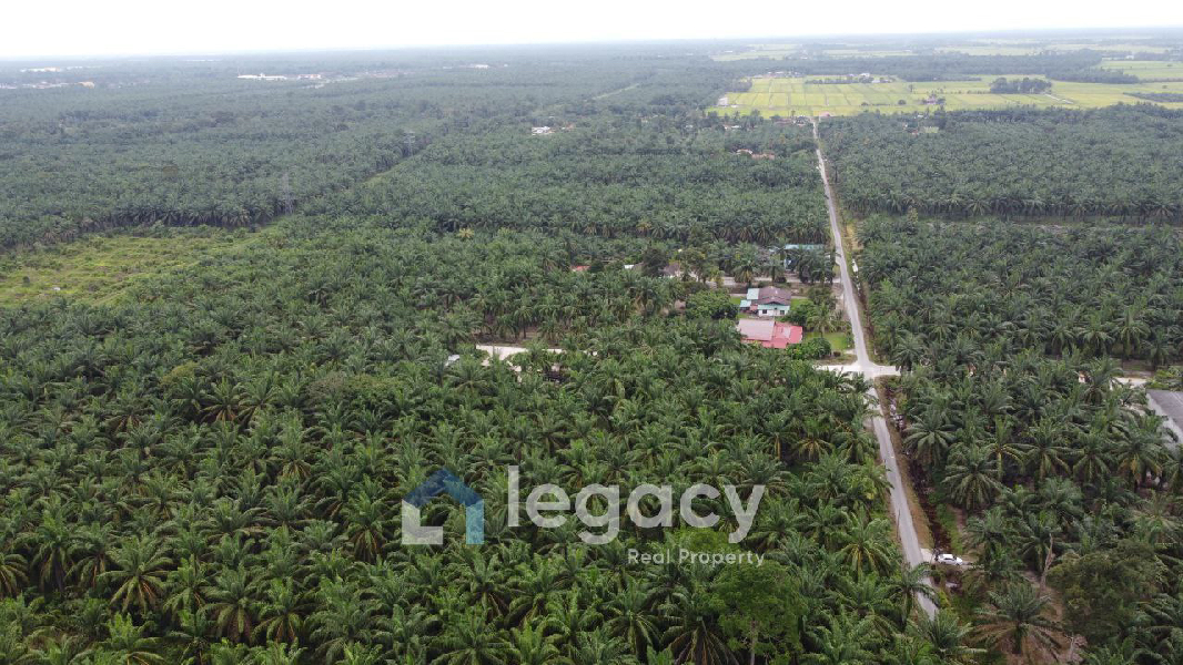 Tanah Sawit Untuk Di Jual di Sei Keruin, Sungai Kerawai Teluk Intan Perak - photo 6