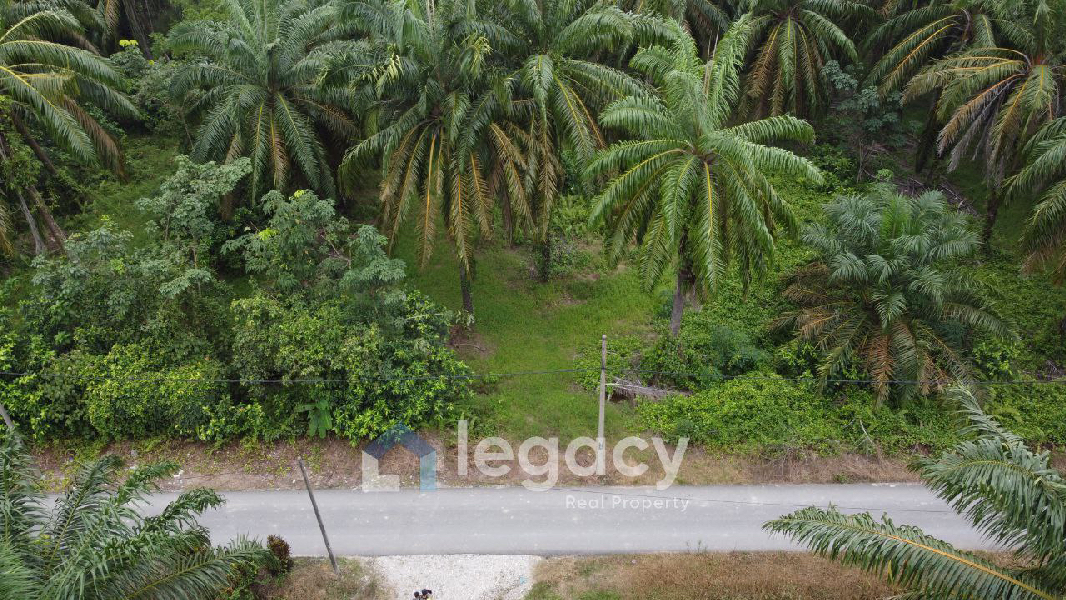 Tanah Sawit Untuk Di Jual di Sei Keruin, Sungai Kerawai Teluk Intan Perak - photo 8