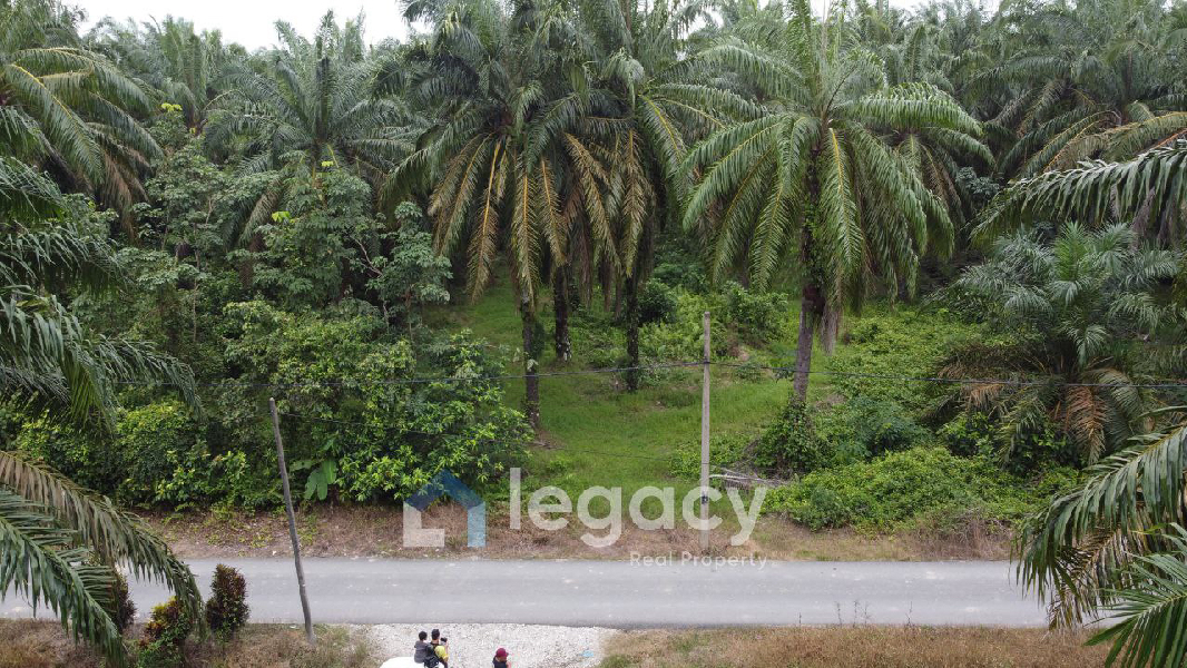 Tanah Sawit Untuk Di Jual di Sei Keruin, Sungai Kerawai Teluk Intan Perak - photo 10