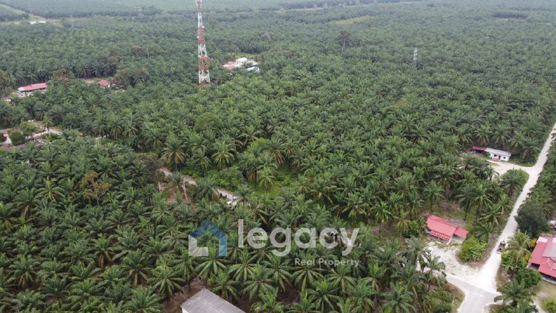 Tanah Sawit Untuk Di Jual di Sei Keruin, Sungai Kerawai Teluk Intan Perak - photo 12