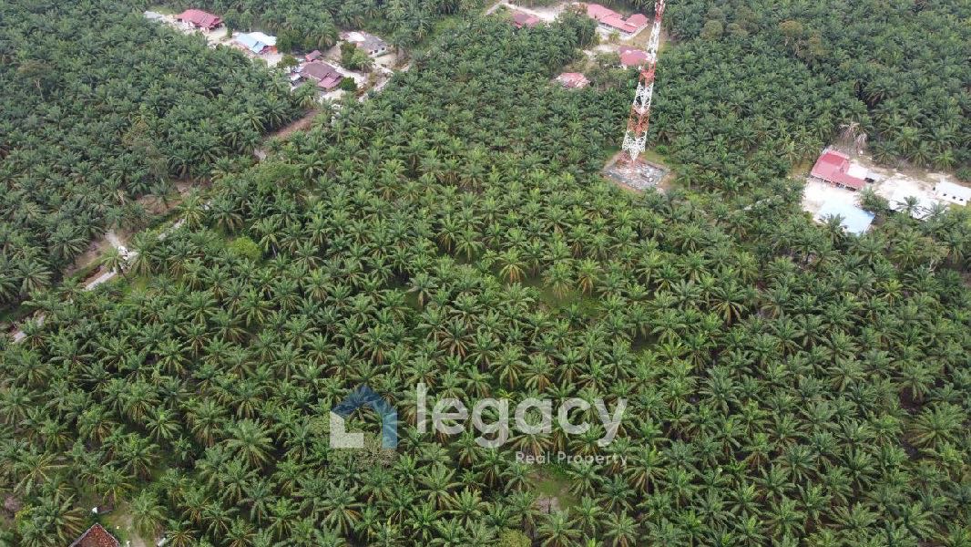 Tanah Sawit Untuk Di Jual di Sei Keruin, Sungai Kerawai Teluk Intan Perak - photo 13