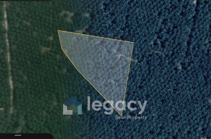 Tanah Pertanian Untuk Di Jual Di Rancangan Tanjung Hantu Mukim Lumut Majung Perak - photo 2