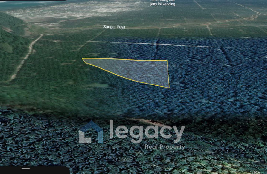 Tanah Pertanian Untuk Di Jual Di Rancangan Tanjung Hantu Mukim Lumut Majung Perak - photo 4