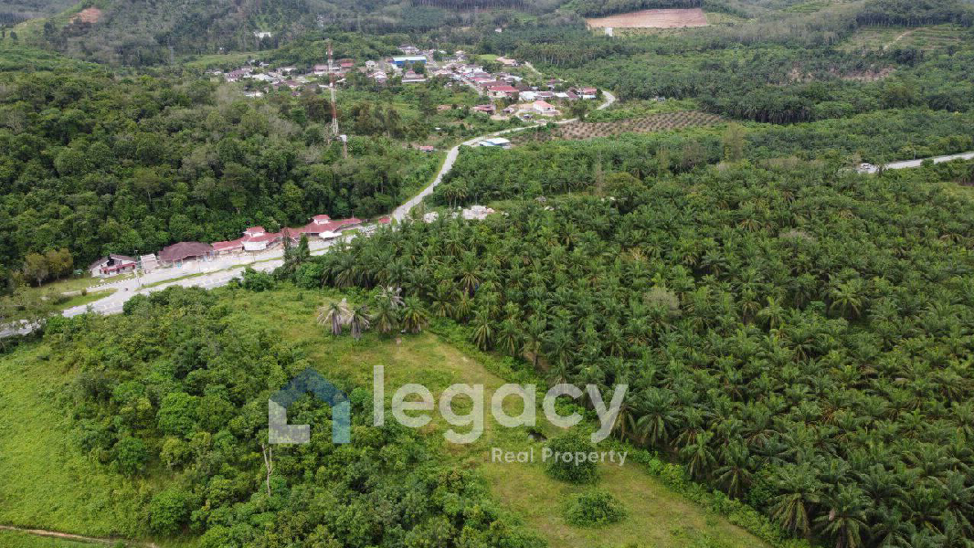Tanah Pertanian Untuk Di Jual di Selat Pagar Lenggong Perak - photo 5