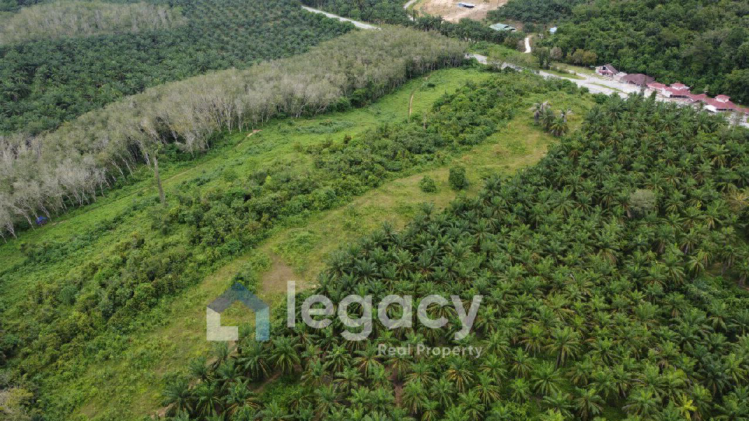 Tanah Pertanian Untuk Di Jual di Selat Pagar Lenggong Perak - photo 9