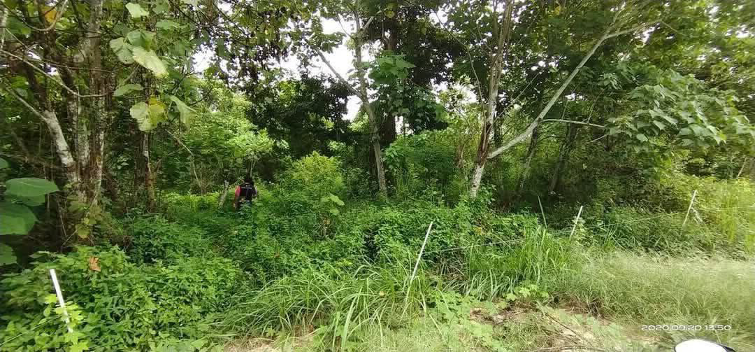 Tanah Pertanian Untuk Dijual Di Ayer Karah 1, Lenggong - photo 8