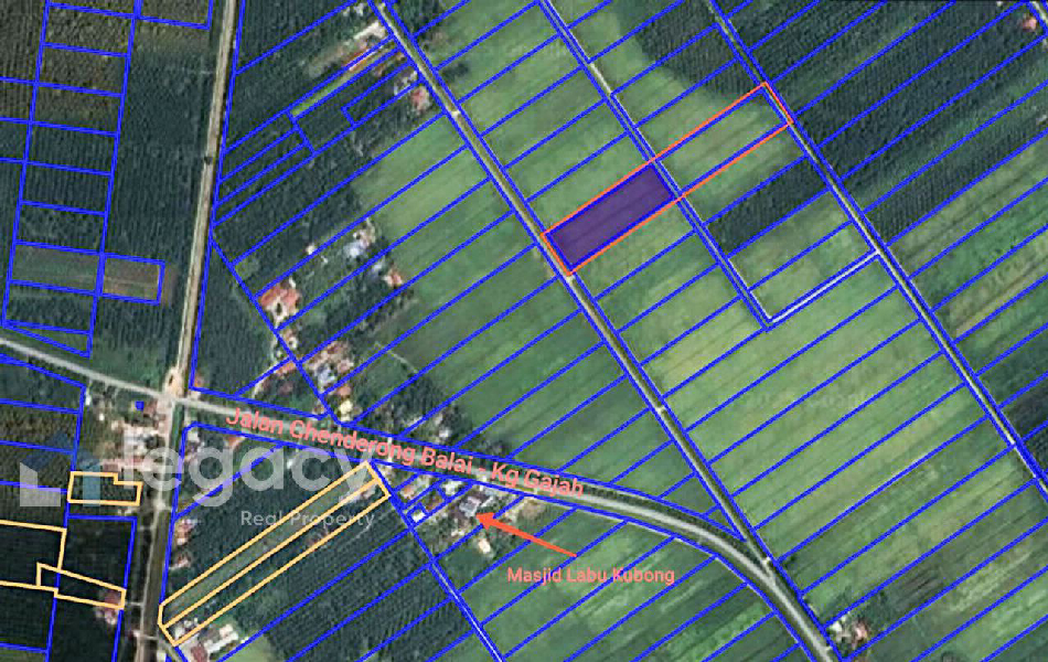 Tanah Sawah Bendang Untuk Dijual Di Labu Kubong, Chenderong Balai, Perak - photo 3