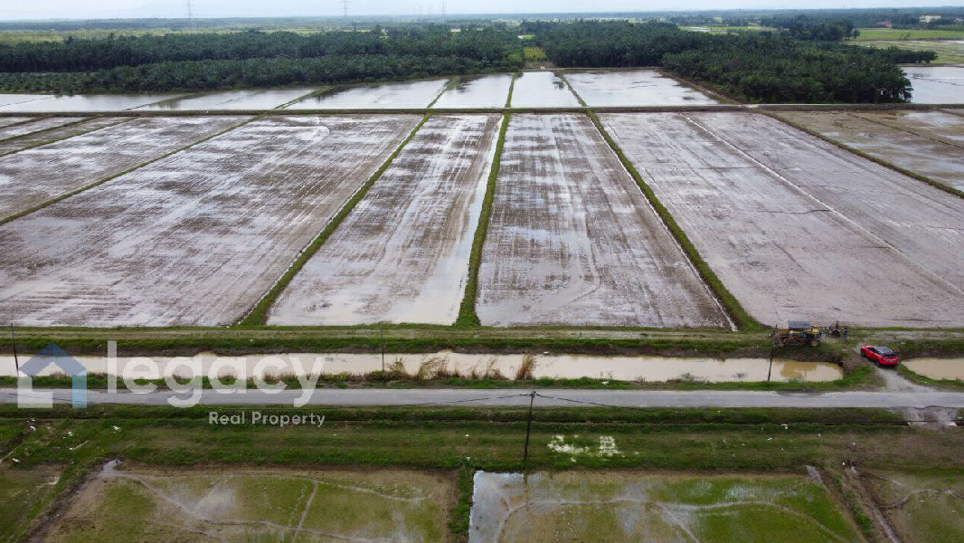 Tanah Sawah Bendang Untuk Dijual Di Labu Kubong, Chenderong Balai, Perak - photo 4