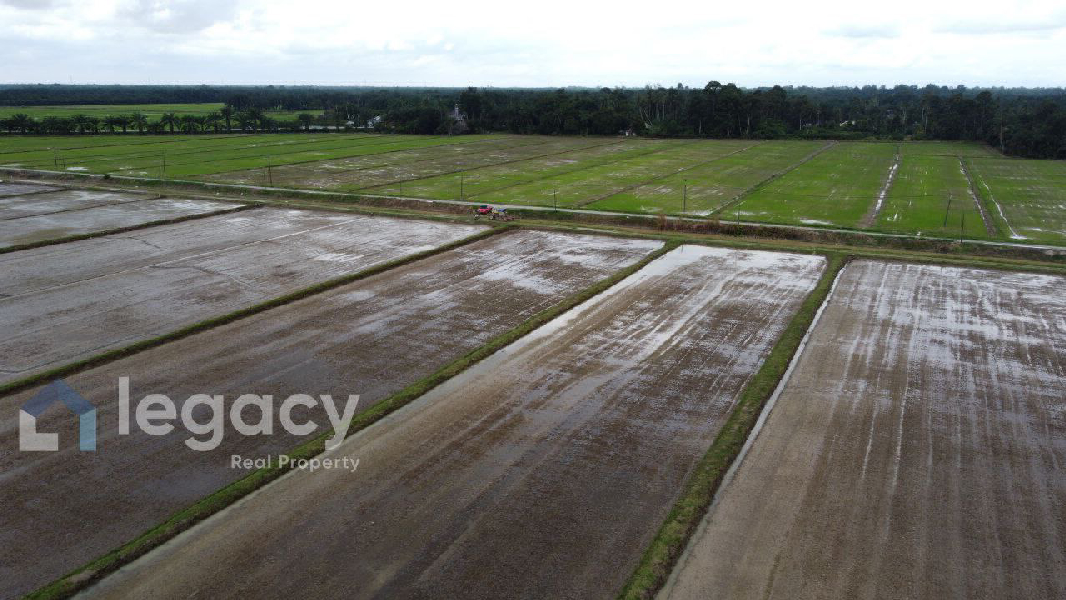 Tanah Sawah Bendang Untuk Dijual Di Labu Kubong, Chenderong Balai, Perak - photo 7