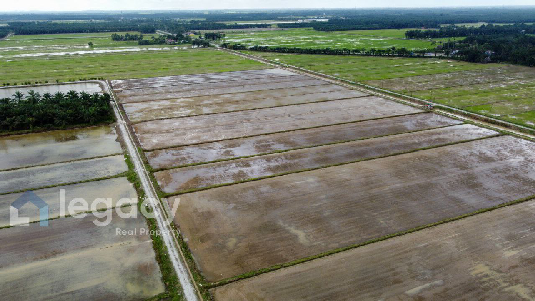 Tanah Sawah Bendang Untuk Dijual Di Labu Kubong, Chenderong Balai, Perak - photo 10