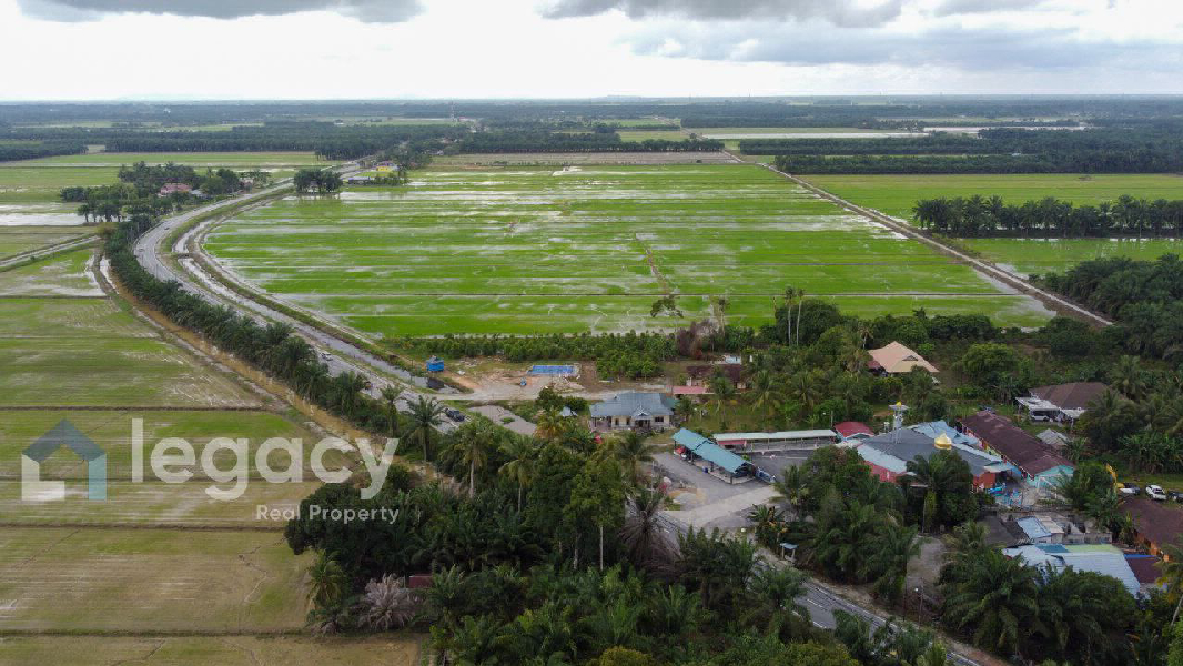 Tanah Sawah Bendang Untuk Dijual Di Labu Kubong, Chenderong Balai, Perak - photo 11