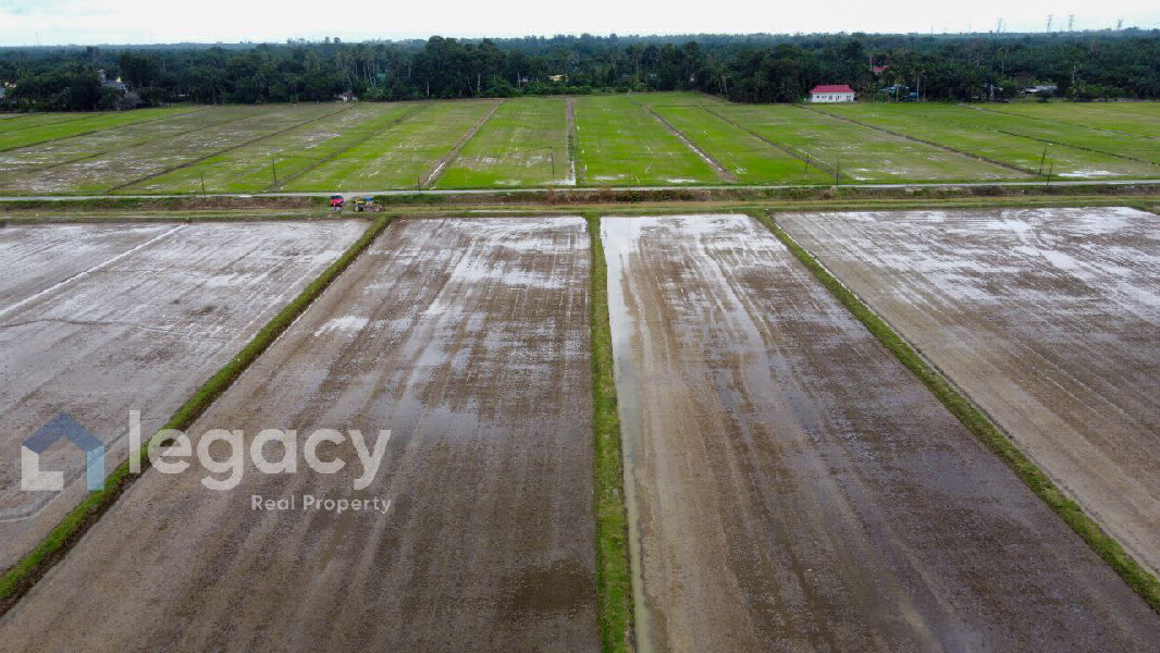 Tanah Sawah Bendang Untuk Dijual Di Labu Kubong, Chenderong Balai, Perak - photo 12