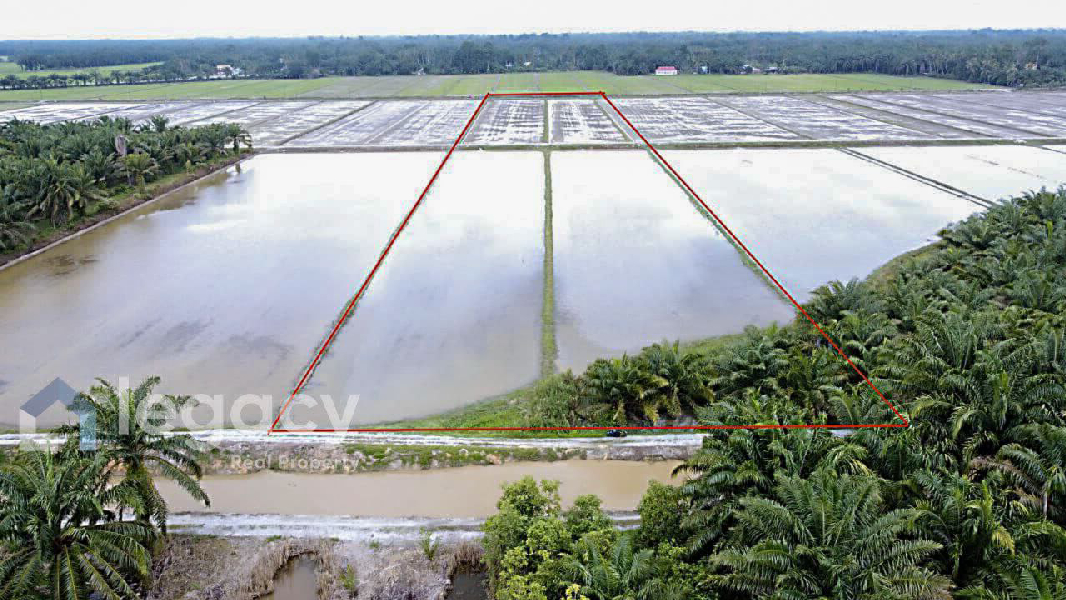 Tanah Sawah Bendang Untuk Dijual Di Labu Kubong, Chenderong Balai, Perak - photo 13