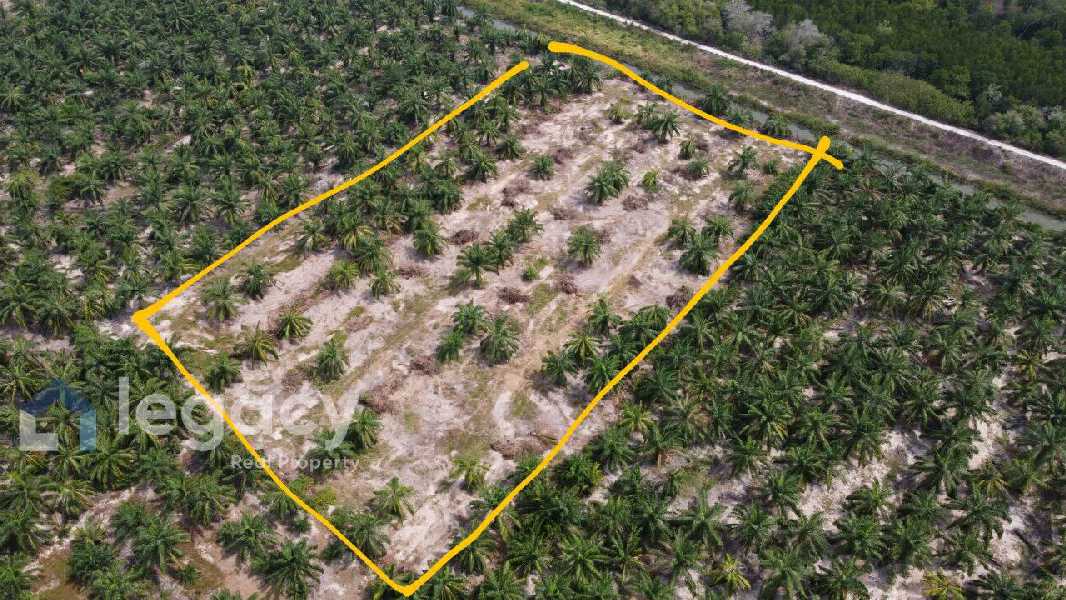 Tanah Sawit 4 Ekar Untuk Dijual  Sungai Tiram, Lekir, Perak