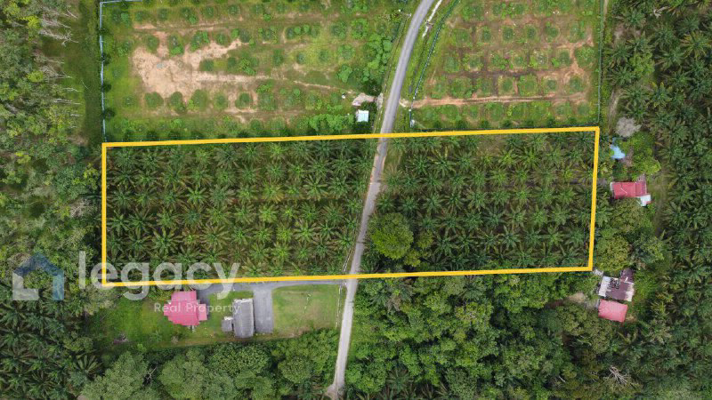 Tanah Pertanian Sawit untuk Dijual  Kg Rasau, Slim River, Perak