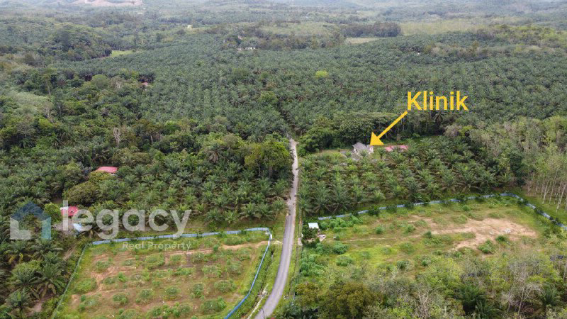Tanah Pertanian Sawit untuk Dijual  Kg Rasau, Slim River, Perak - photo 2