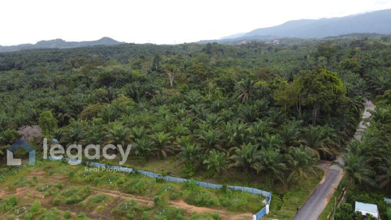 Tanah Pertanian Sawit untuk Dijual  Kg Rasau, Slim River, Perak - photo 6