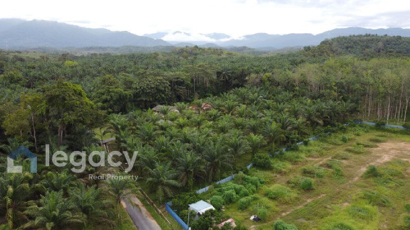Tanah Pertanian Sawit untuk Dijual  Kg Rasau, Slim River, Perak - photo 7