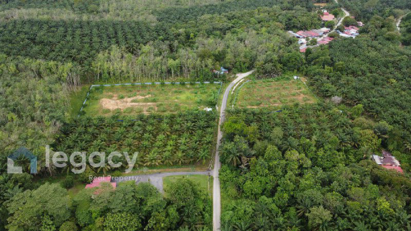 Tanah Pertanian Sawit untuk Dijual  Kg Rasau, Slim River, Perak - photo 8