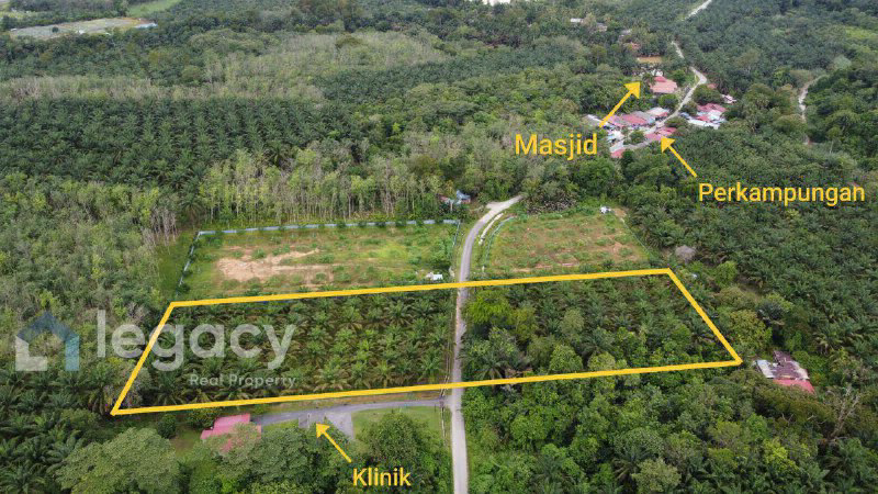 Tanah Pertanian Sawit untuk Dijual  Kg Rasau, Slim River, Perak - photo 9
