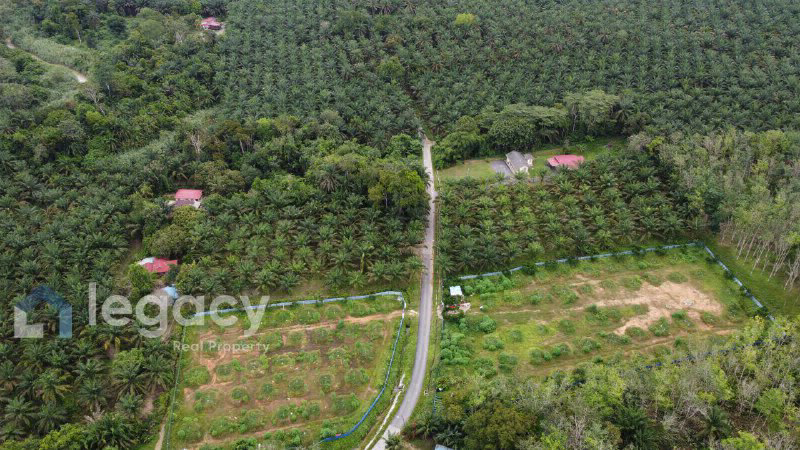 Tanah Pertanian Sawit untuk Dijual  Kg Rasau, Slim River, Perak - photo 10