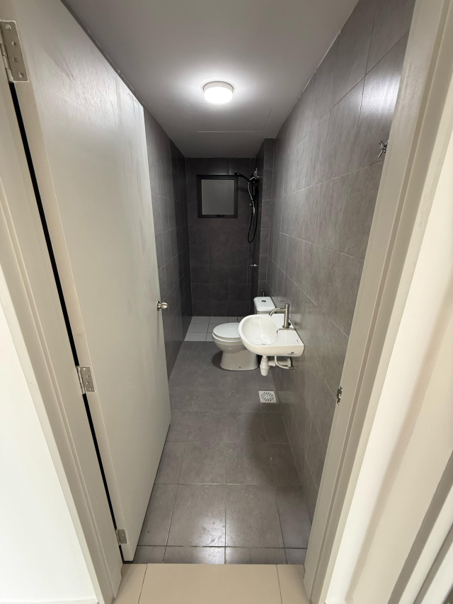lsh33 - photo 10