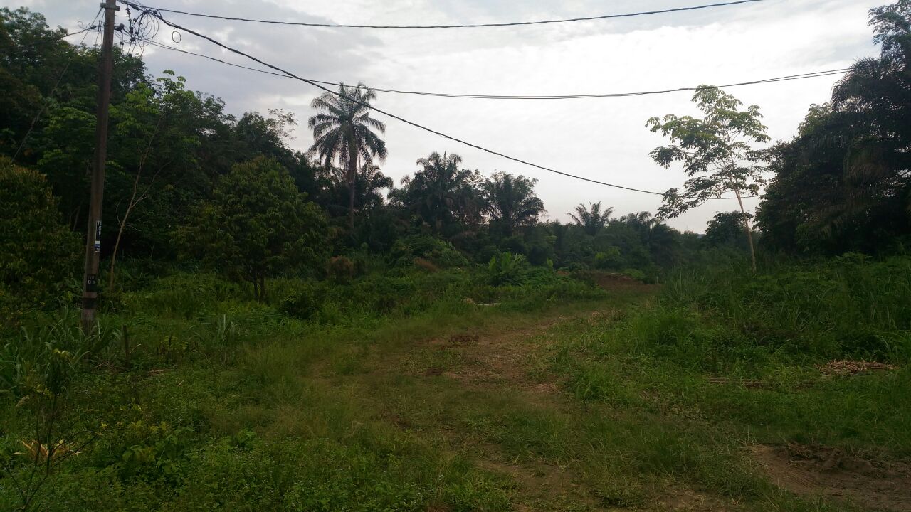 Agriculture development land in Seremban 2 Mambau - photo 4