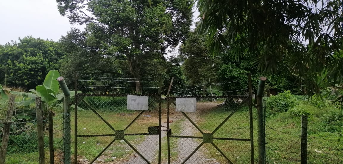 Roadside agri land in Bandar Sri Sendayan - photo 2