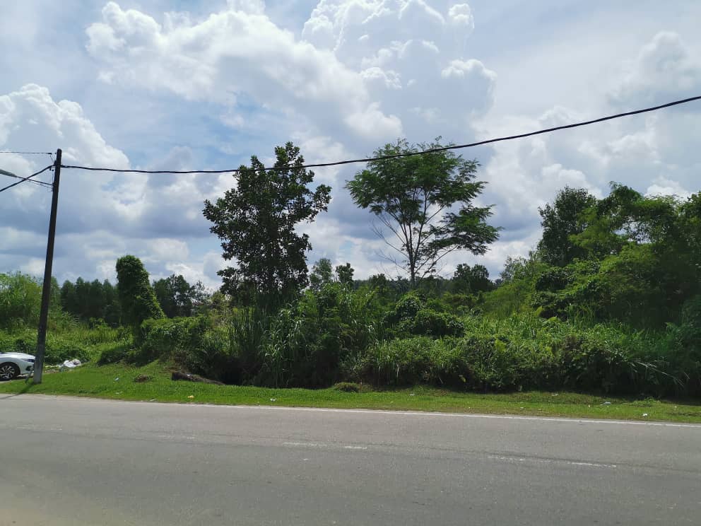 Kulai Agriculture Land 30 acres roadside - photo 5