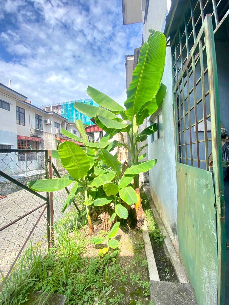 Double Storey Terrace Taman Desa Kasia - photo 9