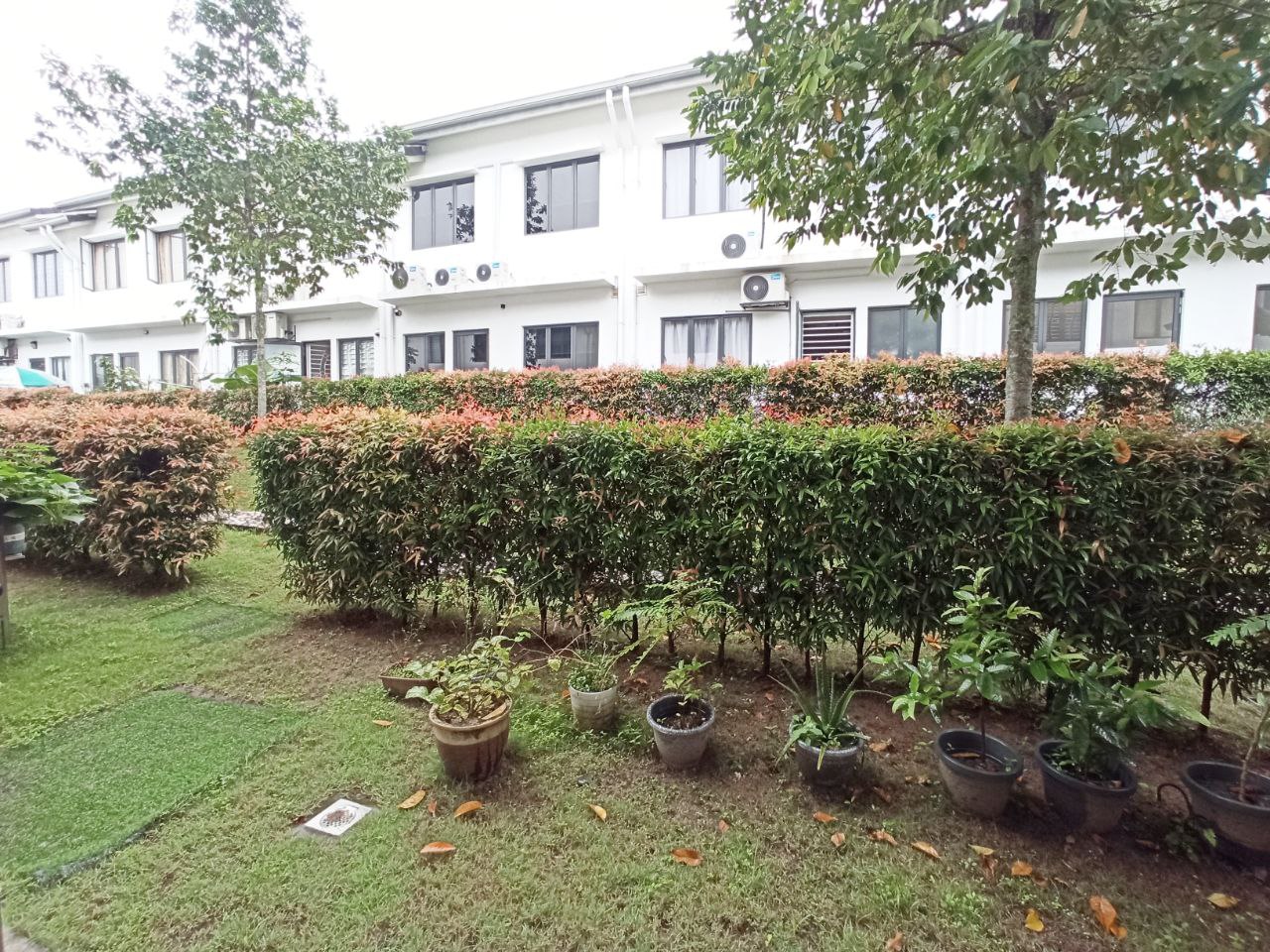 2 Storey Terrace Diamond Residence Carnation, Seme - photo 4