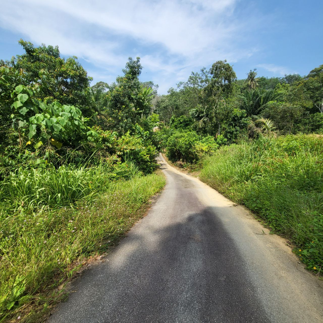 Kampung Tengah Sungai Merab - photo 8