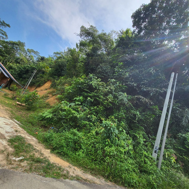Kampung Tengah Sungai Merab - photo 9