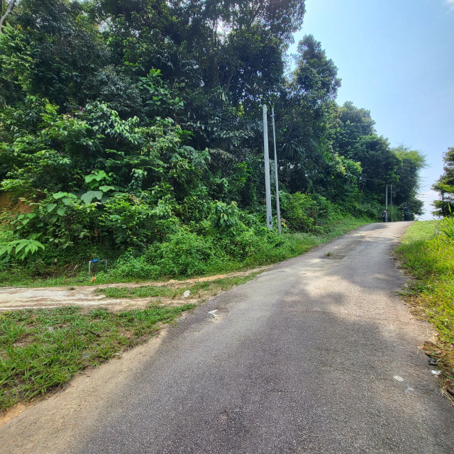 Kampung Tengah Sungai Merab - photo 10